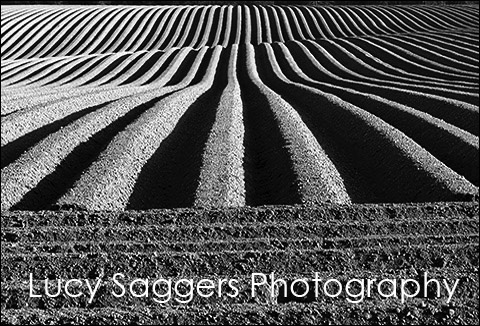 Stacks Image 6909